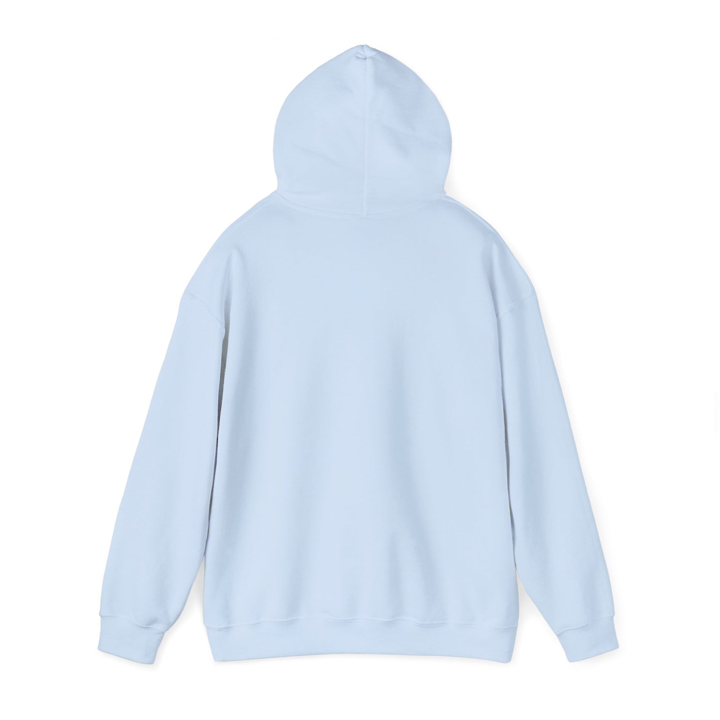 Coastal Vibes Embroidery Hoodie