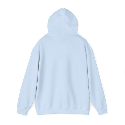 Coastal Vibes Embroidery Hoodie