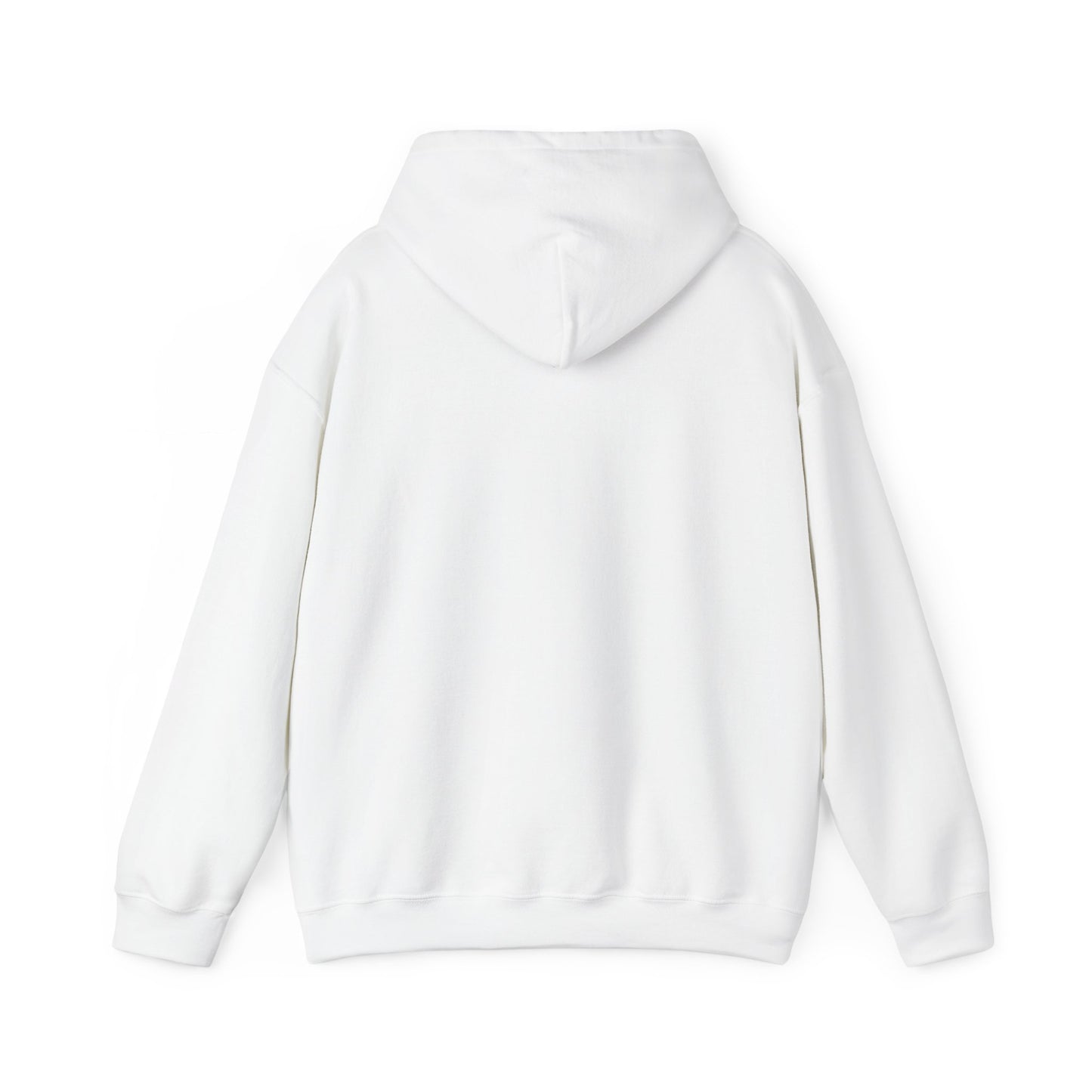 Coastal Vibes Embroidery Hoodie