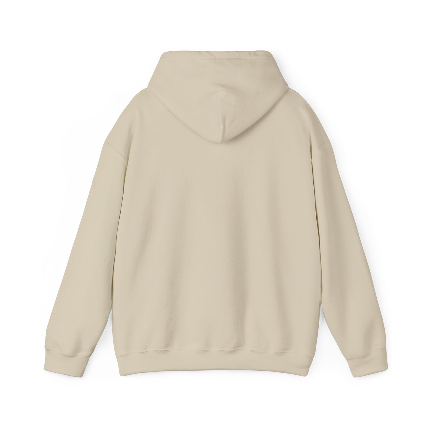 Coastal Vibes Embroidery Hoodie