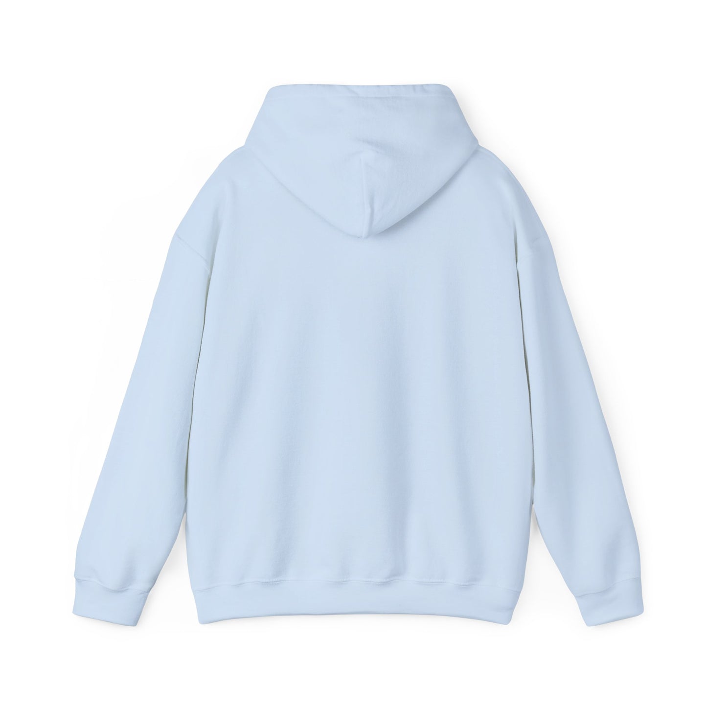 Coastal Vibes Embroidery Hoodie