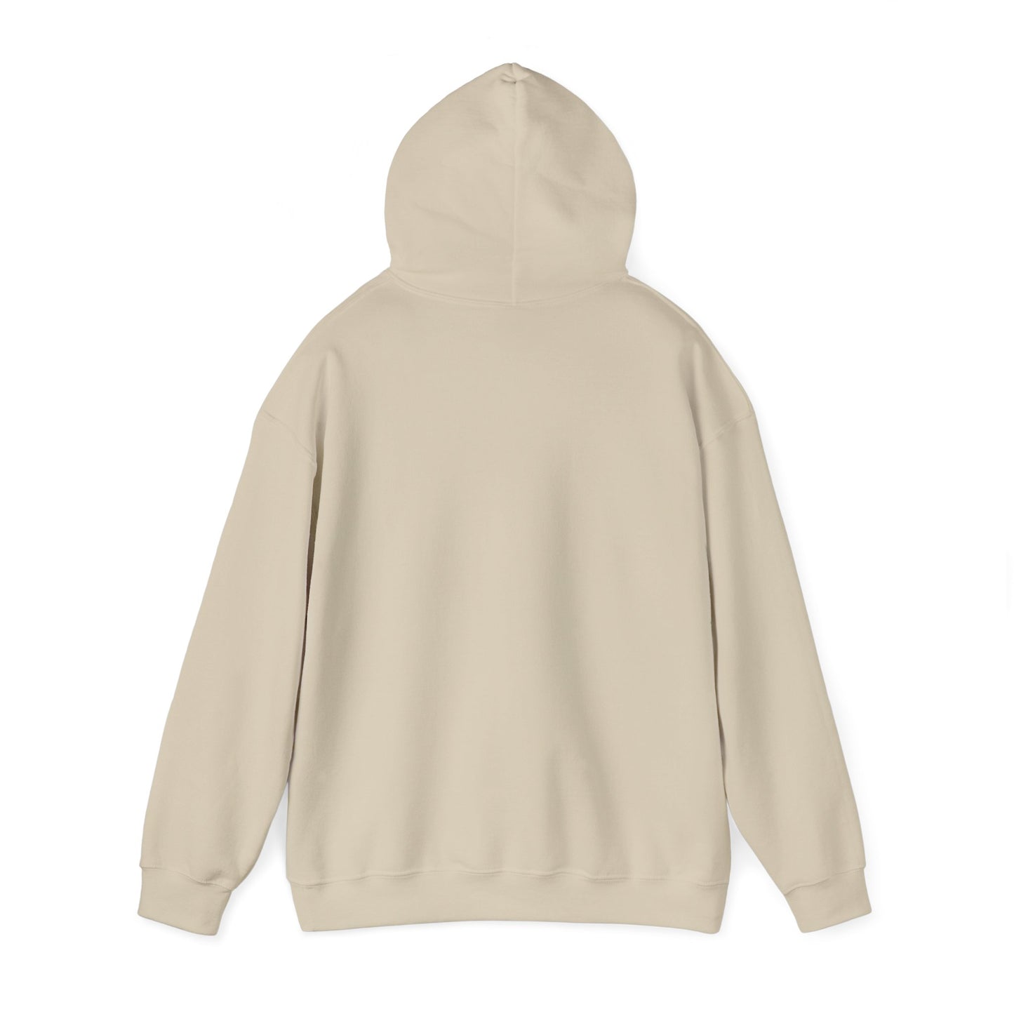 Coastal Vibes Embroidery Hoodie