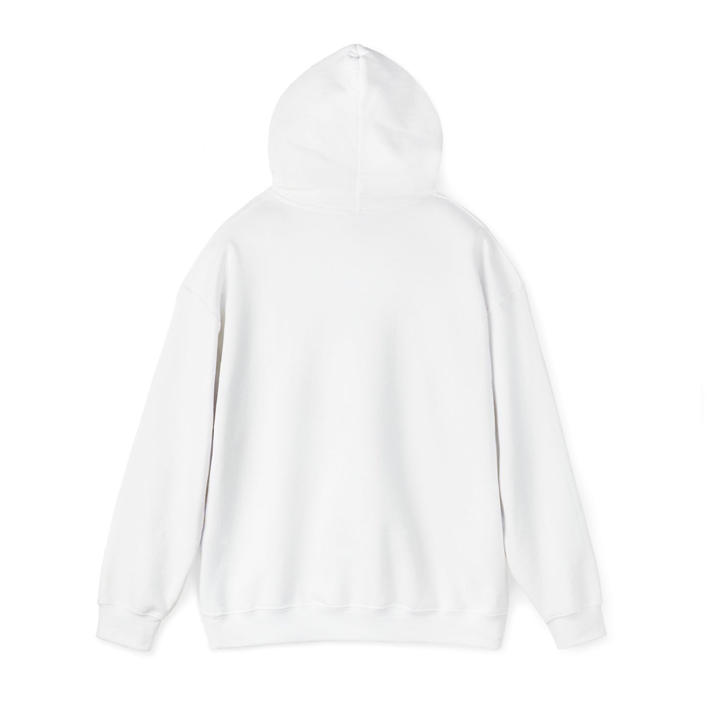 Coastal Vibes Embroidery Hoodie