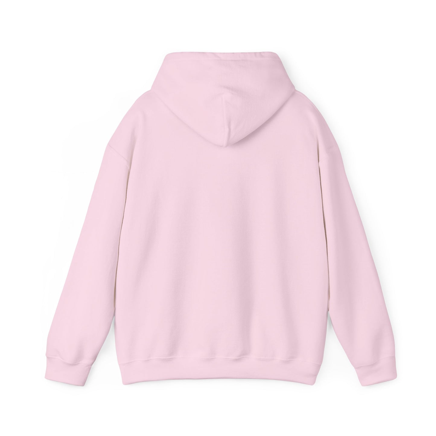 Coastal Vibes Embroidery Hoodie